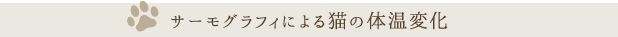 サーモグラフィによる猫の体温変化